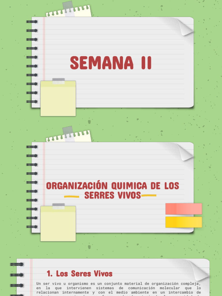 Composición Química de los Seres Vivos | PDF | Organismos | Biomoléculas