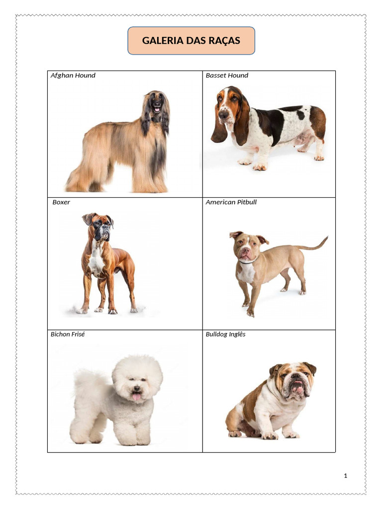Raças de Cães: Guia Completo | PDF