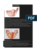 Organ - Organ Sistem Hormon Dan Metabolisme