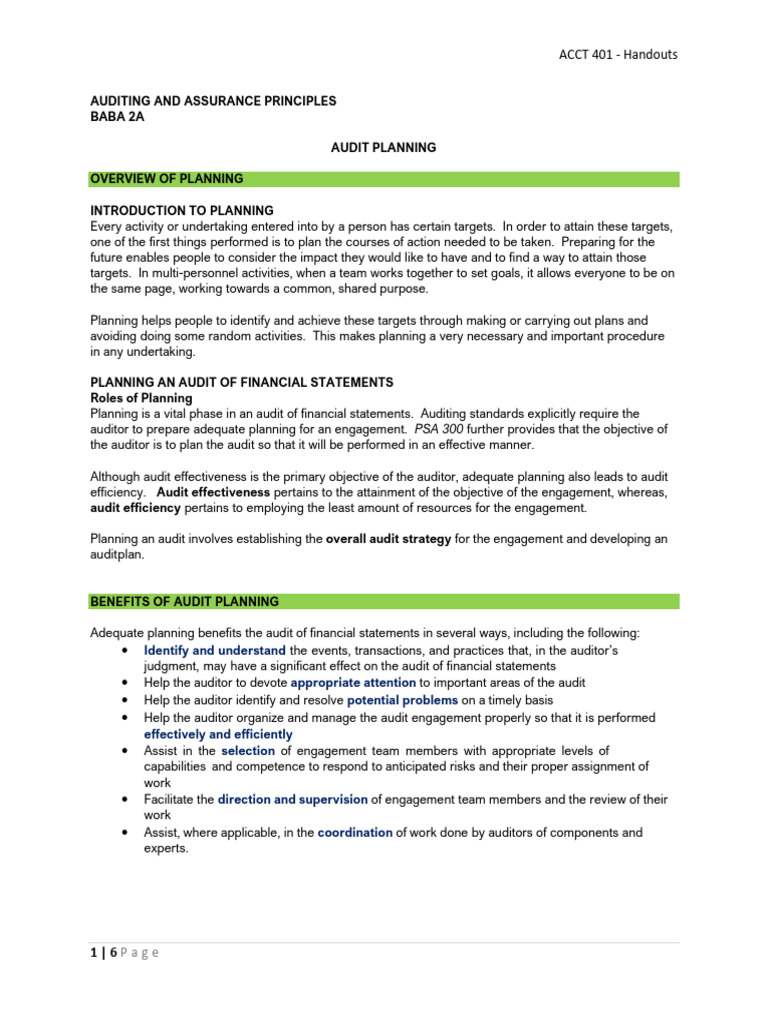 04 Audit Planning Handouts | PDF | Audit | Internal Control