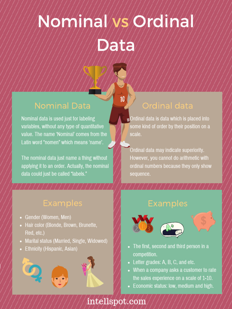 Nominal vs Ordinal Data Explained | PDF