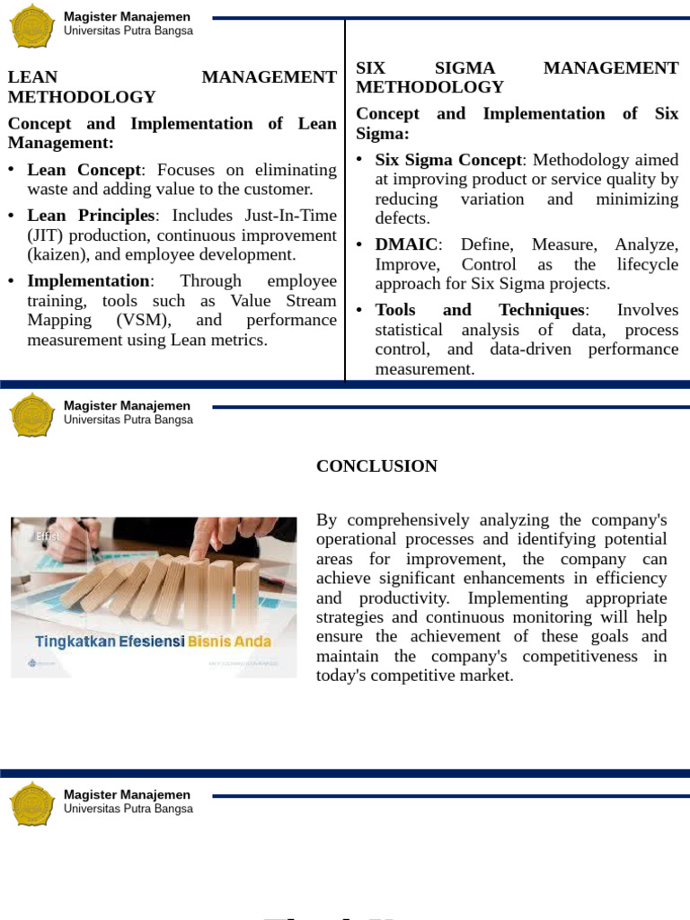 Six Sigma and Lean Management Guide | PDF
