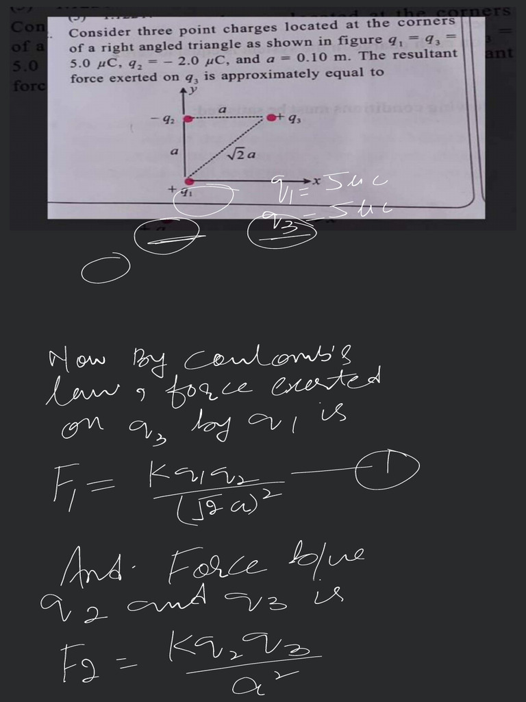 Class Notes | PDF