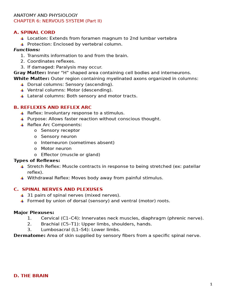 Nervous System Anatomy and Functions | PDF | Spinal Cord | Cerebrum