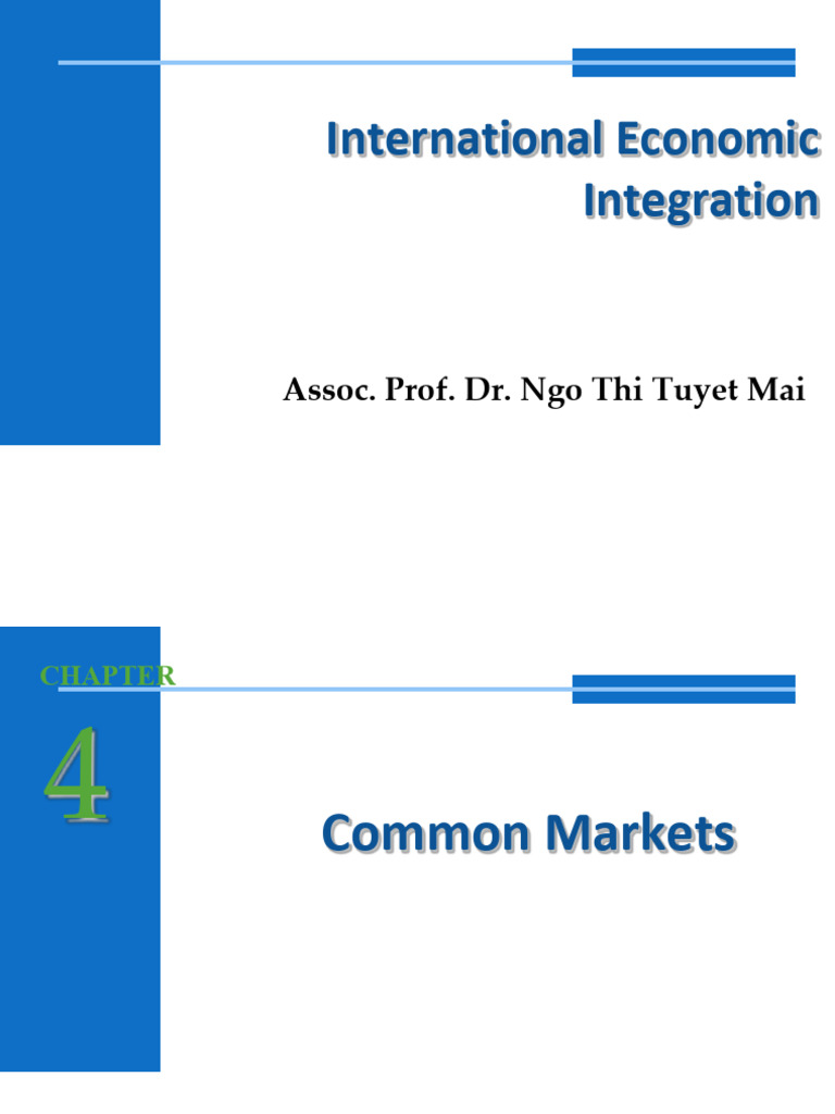 Understanding Common Markets and Labor Mobility | PDF | Human Migration ...