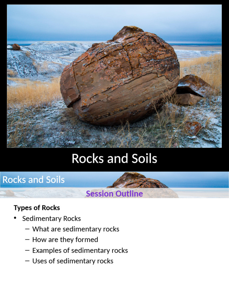 Understanding Sedimentary Rocks | PDF | Rock (Geology) | Sedimentary Rock