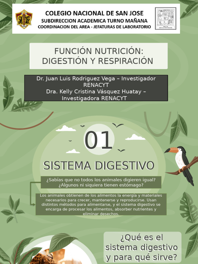 Funcion de Nutricion - CNSJ - 2025. | PDF | Corazón | Sistema circulatorio