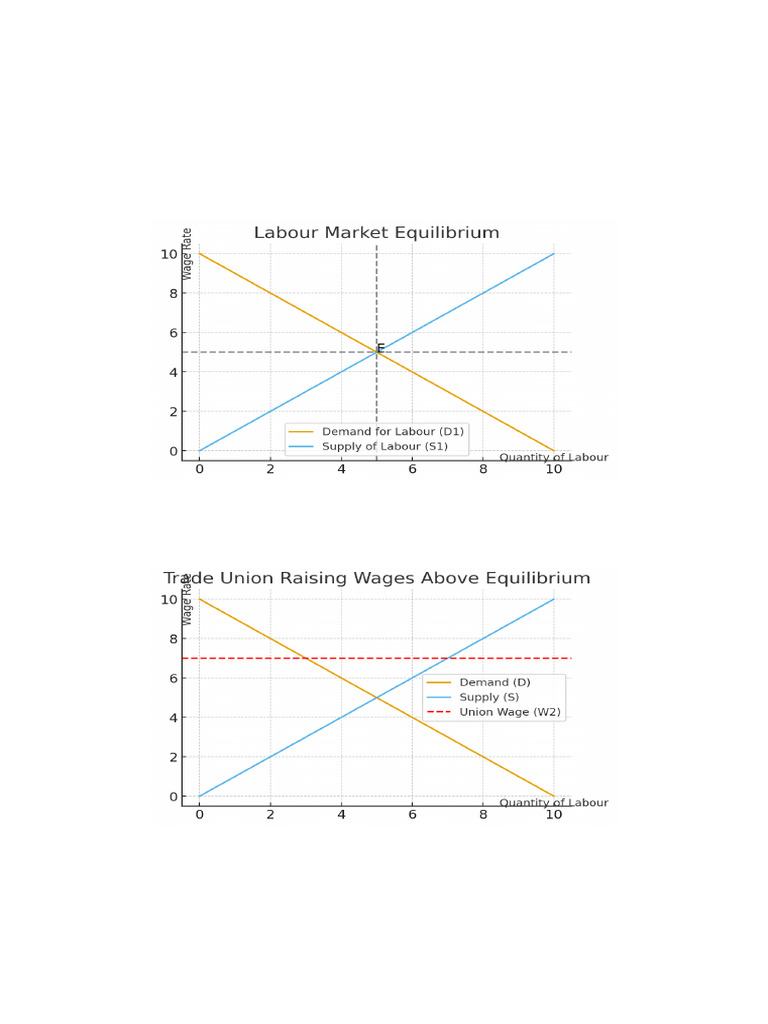 Labour Supply, Demand & Union Impact | PDF