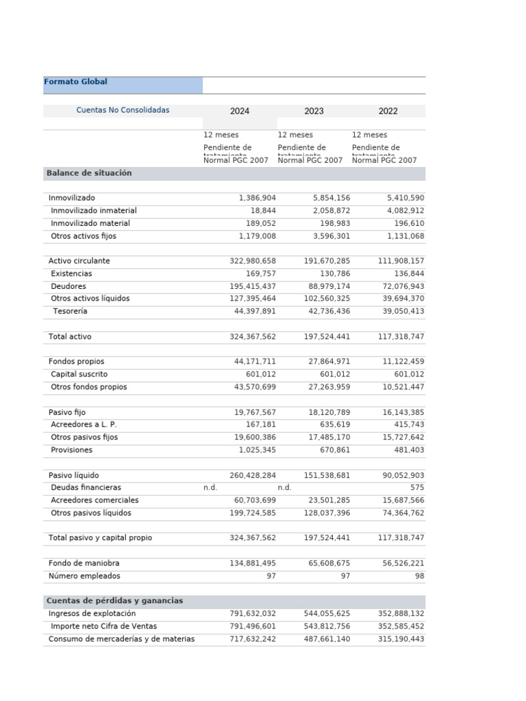Informe Financiero Anual 2024 | PDF | Capital de trabajo | Hoja de balance