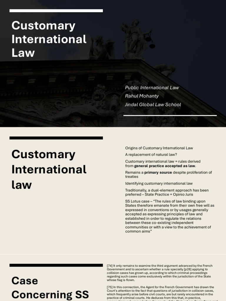 Understanding Customary International Law | PDF | International Law ...