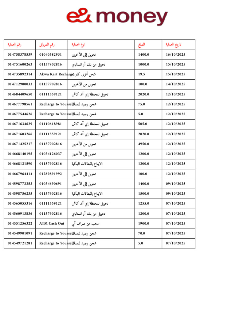 Transaction Summary Report 2025 | PDF