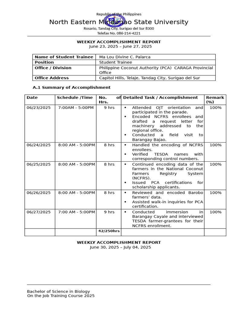 Weekly Accomplishment Report: OJT 2025 | PDF