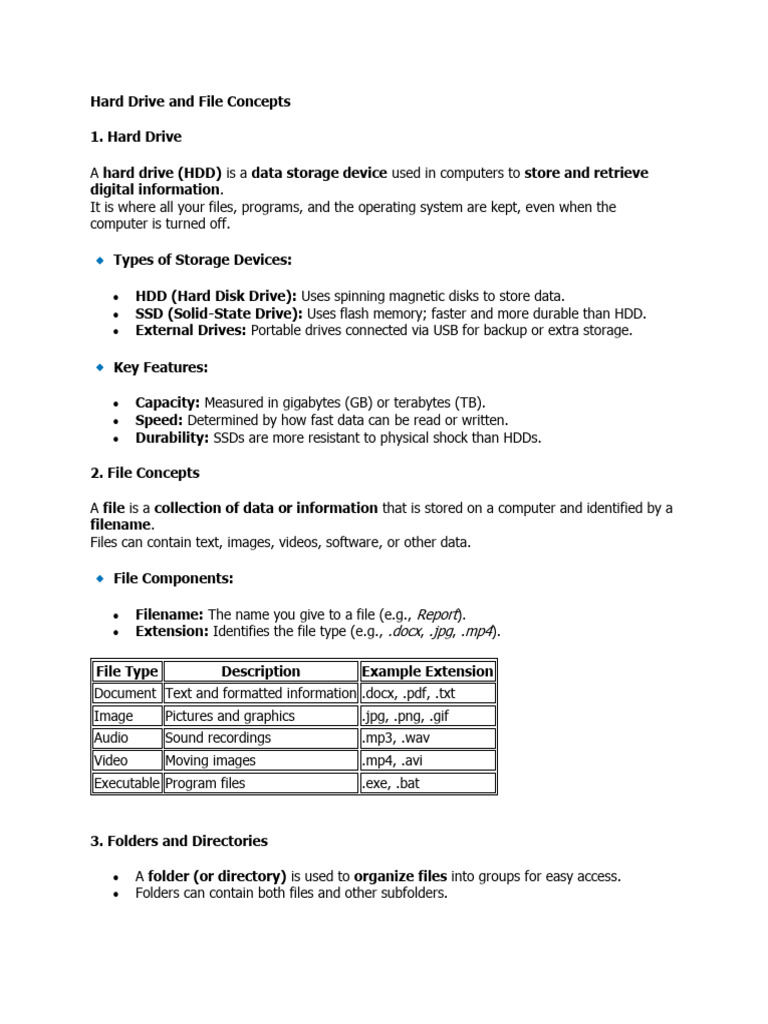 Hard Drive and File Management Basics | PDF