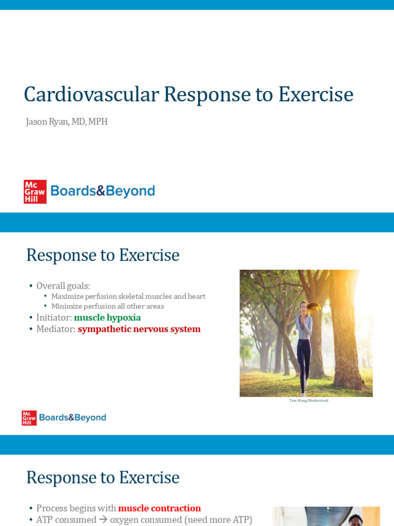 CV Response To Exercise | PDF | Blood Pressure | Vasodilation