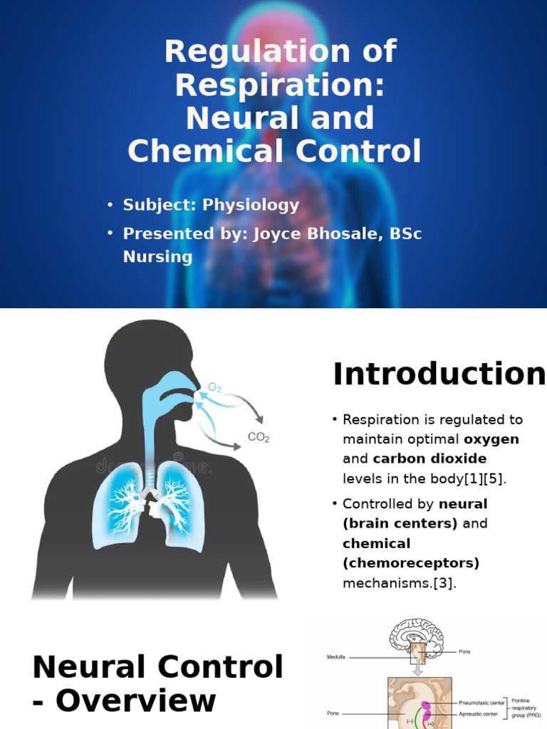 Neural and Chemical Control of Respiration | PDF | Respiration | Physiology