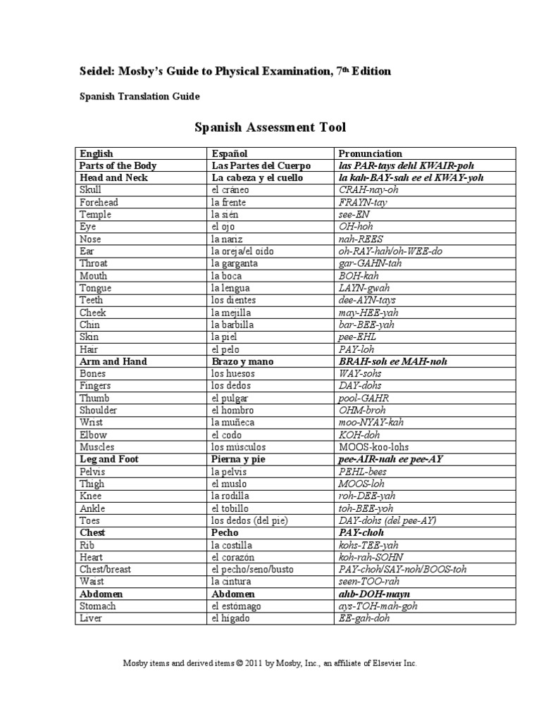 Spanish Translation Guide PDF Tórax Abdomen
