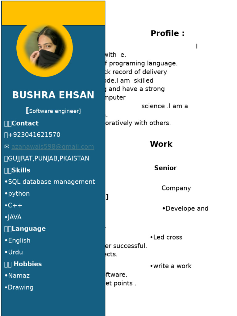Software Engineer Profile & Experience | PDF