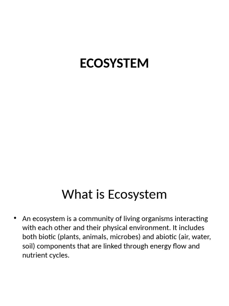 Understanding Aquatic Ecosystems | PDF