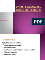 Kebutuhan Psikologi Ibu Hamil Trimester I, II