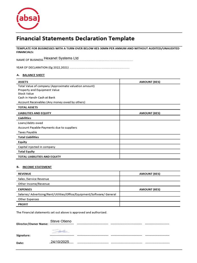 Financial Statements Template for SMEs | PDF