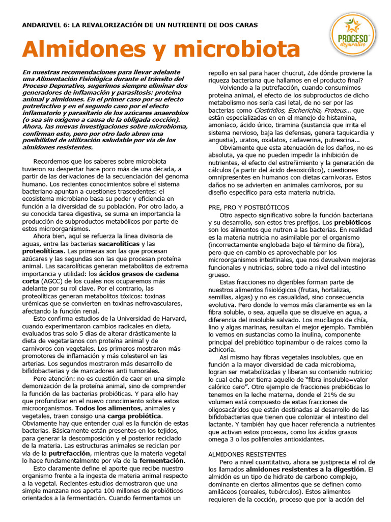 Almidones | PDF | Fibra dietética | Dieta y nutrición