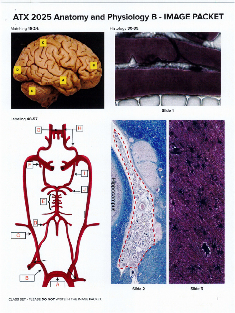 UT Test Images | PDF
