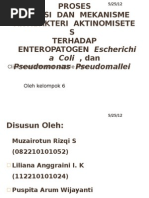 Download PROSES ISOLASI by Puspita Arum W SN94767657 doc pdf
