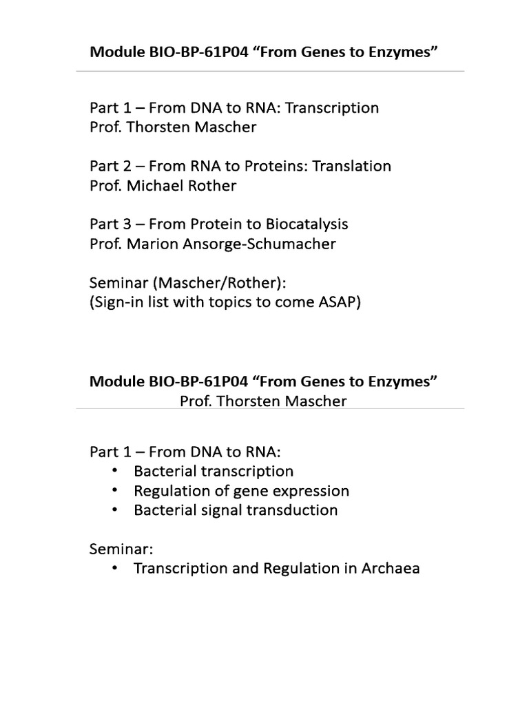 DNA to RNA Transcription Overview | PDF | Rna | Dna