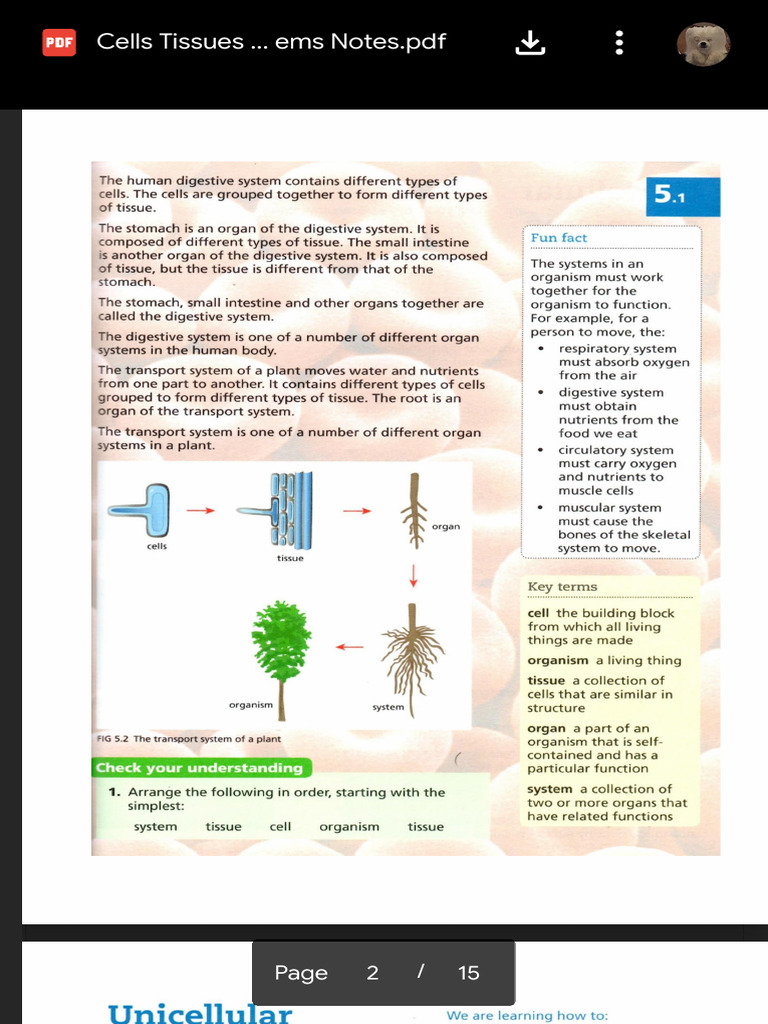 Cells Tissues Organs and Systems Notes - PDF - Google Drive 2 | PDF