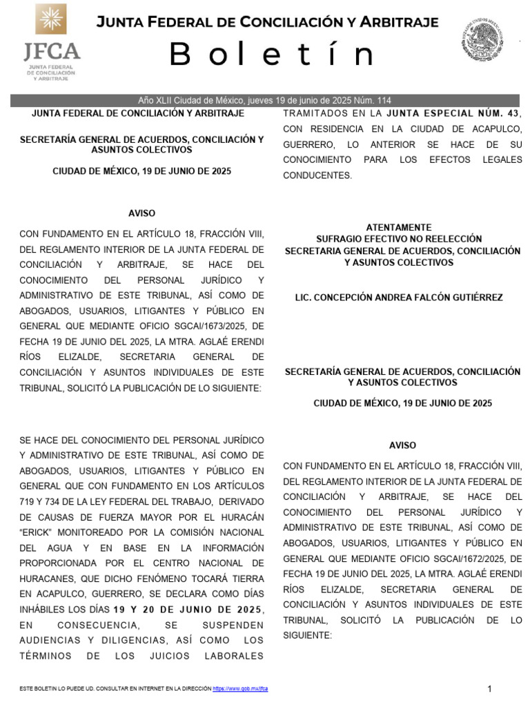 114 JFCA 2025 Jun 19 250619 110408 | PDF | Justicia | Crimen y violencia