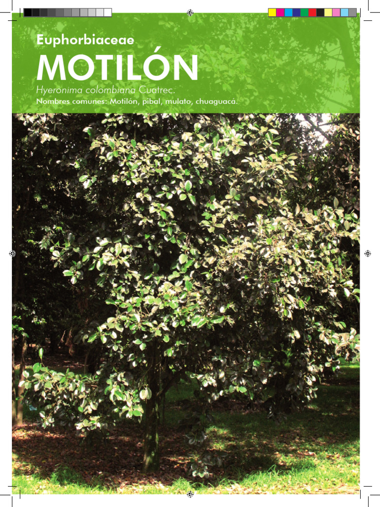 Características y Propagación de Plantas Nativas | PDF | Semilla ...