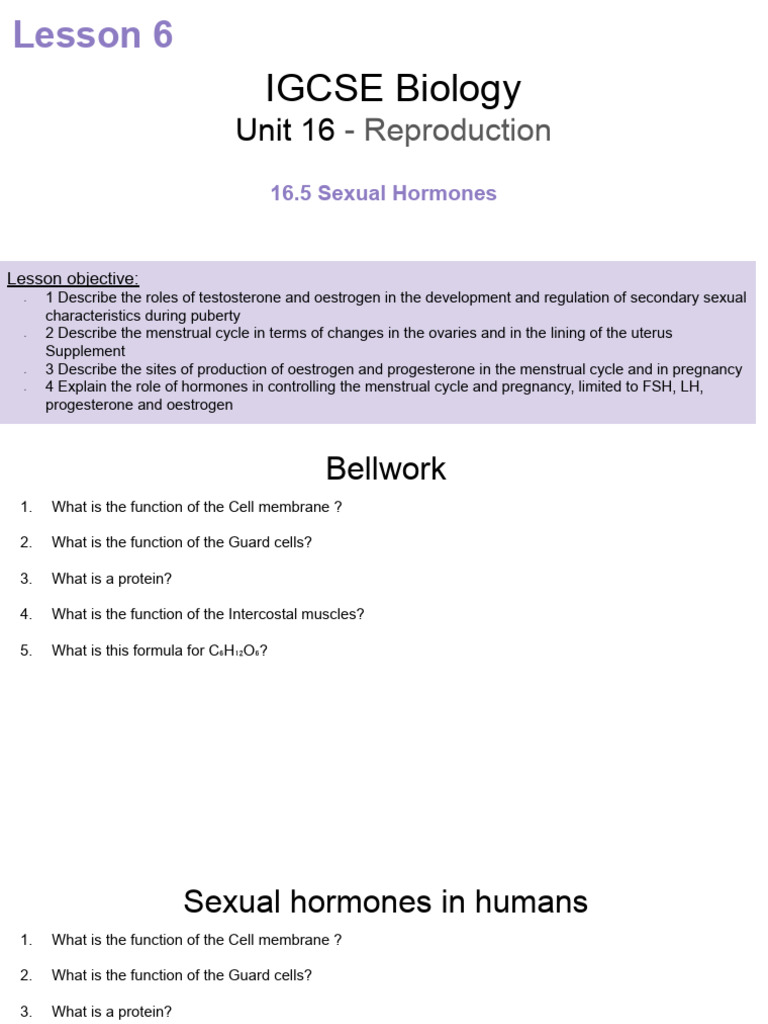 16.5 Sexual Hormones in Humans | PDF | Menstrual Cycle | Luteinizing ...