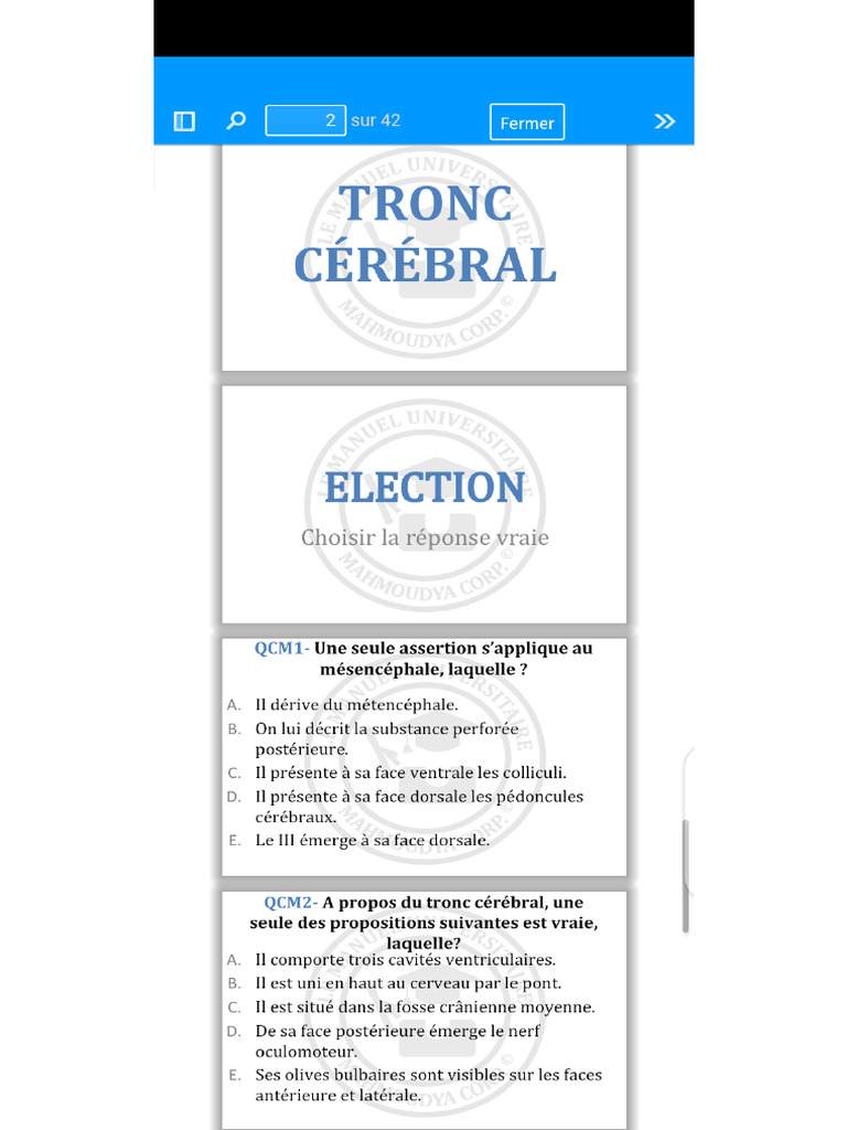 Tronc Cerebral | PDF