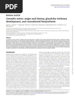 Cannabis Sativa L - Botany & Biotechnology PDF | PDF | Cannabis