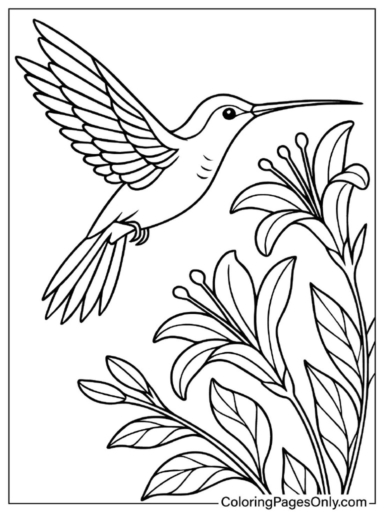 Unique Hummingbird Color Sheet | PDF