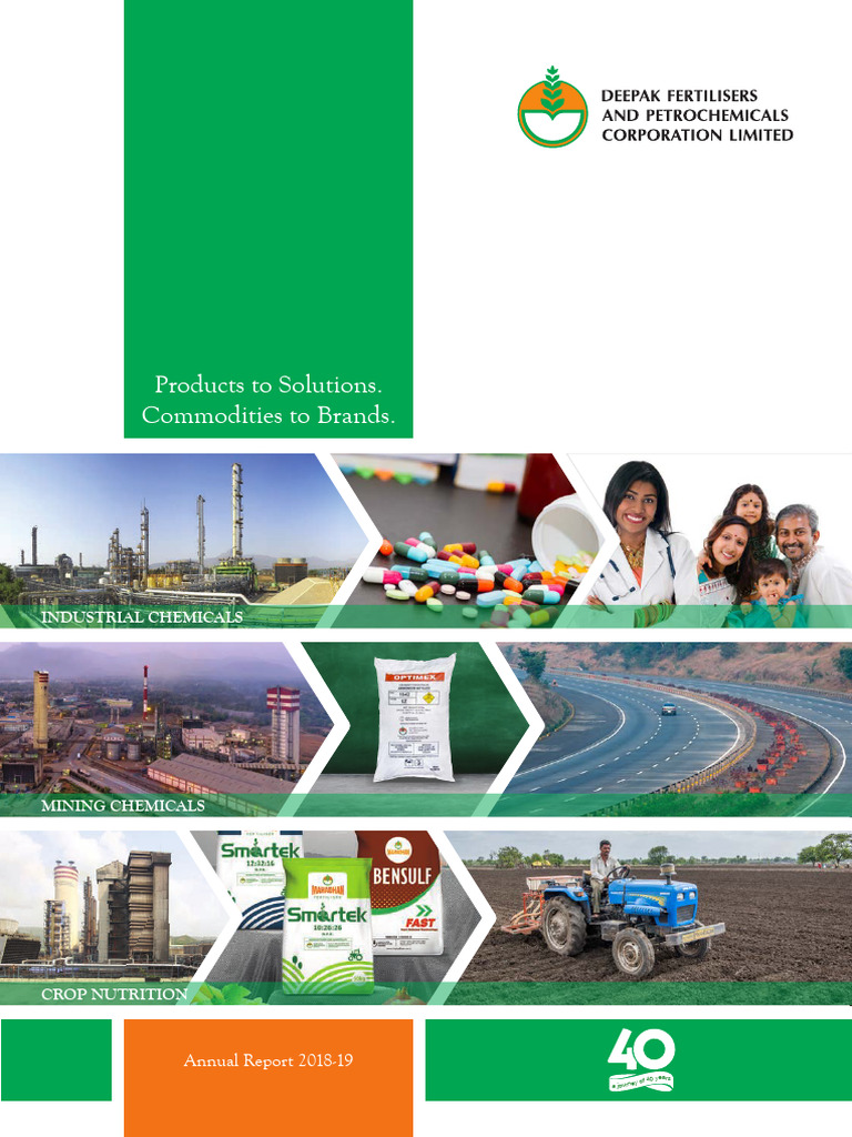 AR-2018-19 Annual Report of Deepak Fertilisers | PDF | Fertilizer | Stocks