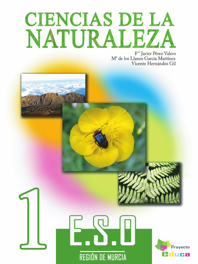 Explorando el Universo y la Materia | PDF | Galaxia | Sistema solar