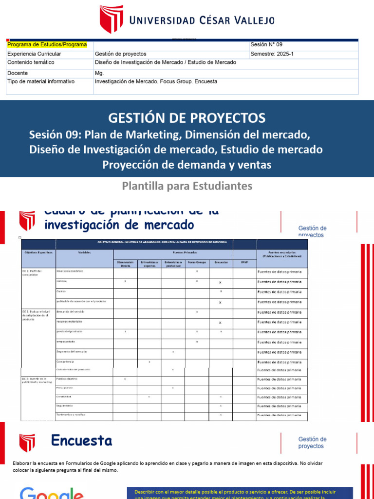 Plan de Marketing y Estudio de Mercado | PDF | Investigación de mercado ...