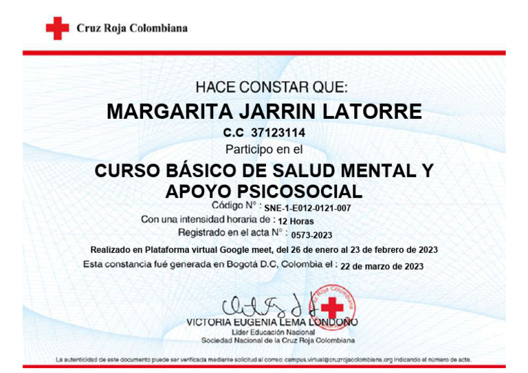 Curso Basico de Salud Mental y Apoyo Psicosocial | PDF