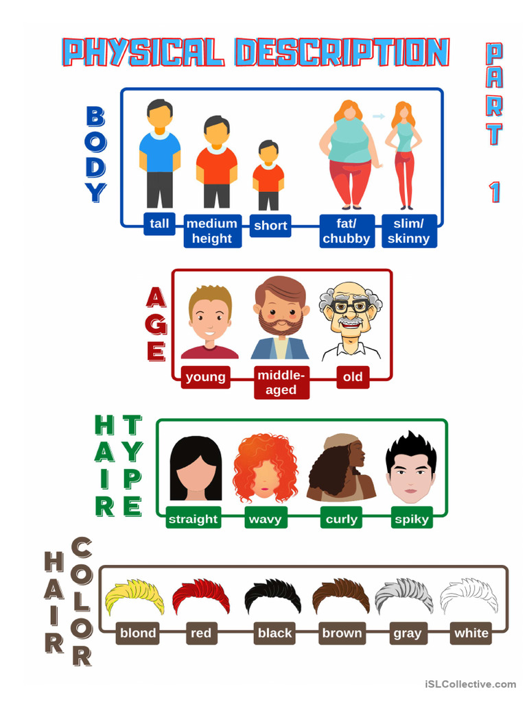 Physical Traits 2 | PDF