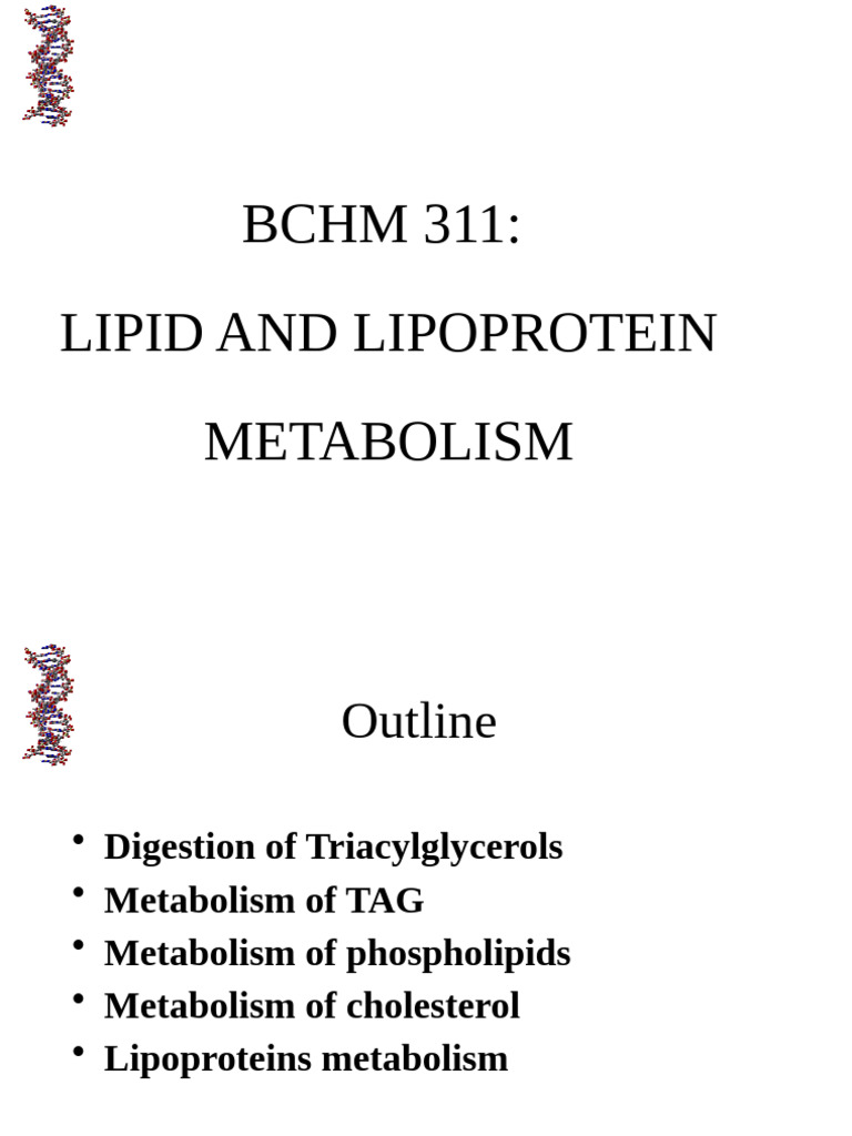 Lipid Metabolism Presentation | PDF | Lipid | Cholesterol