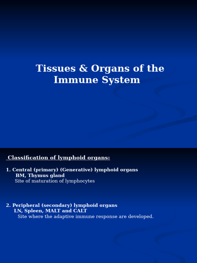 Basic.tissues and Organs of the Immune System | PDF | Lymphatic System ...