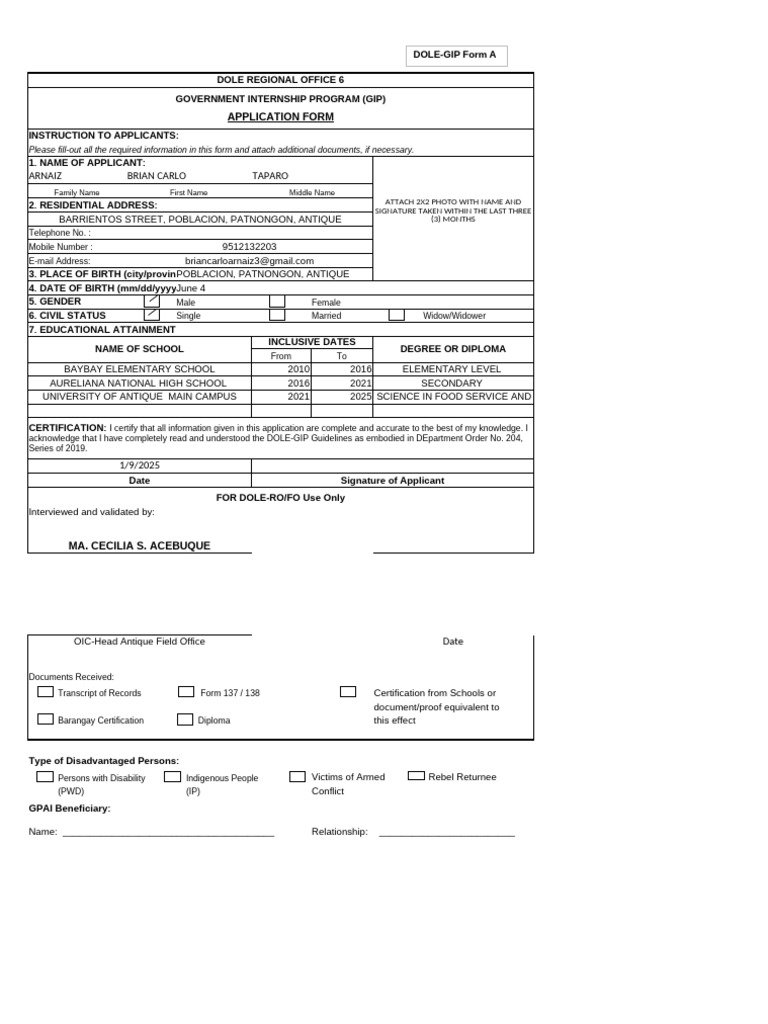 GIP Application Form Instructions | PDF