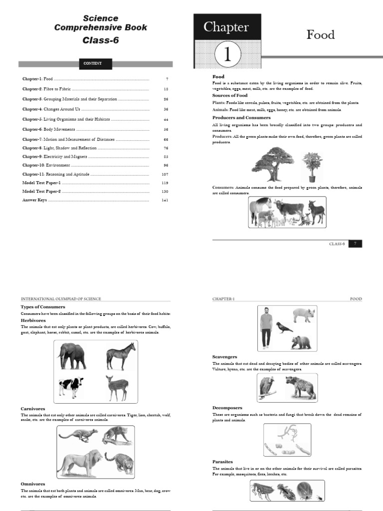 Class 6 Science Comprehensive-2 Sided | PDF | Foods | Yarn