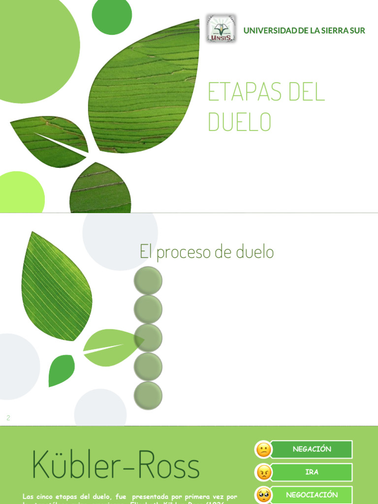 Etapas del Duelo: Proceso y Modelos | PDF | Dolor | Las emociones