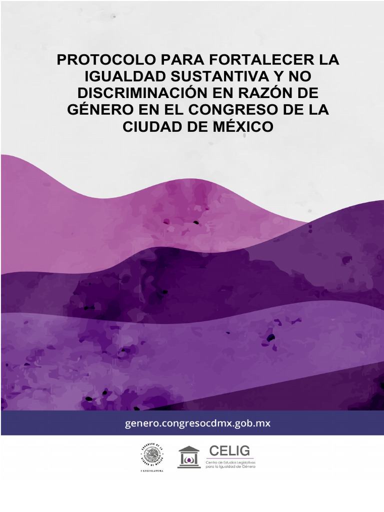 Protocolo para Fortalecer La Igualdad Sustantiva y No Discriminación en ...