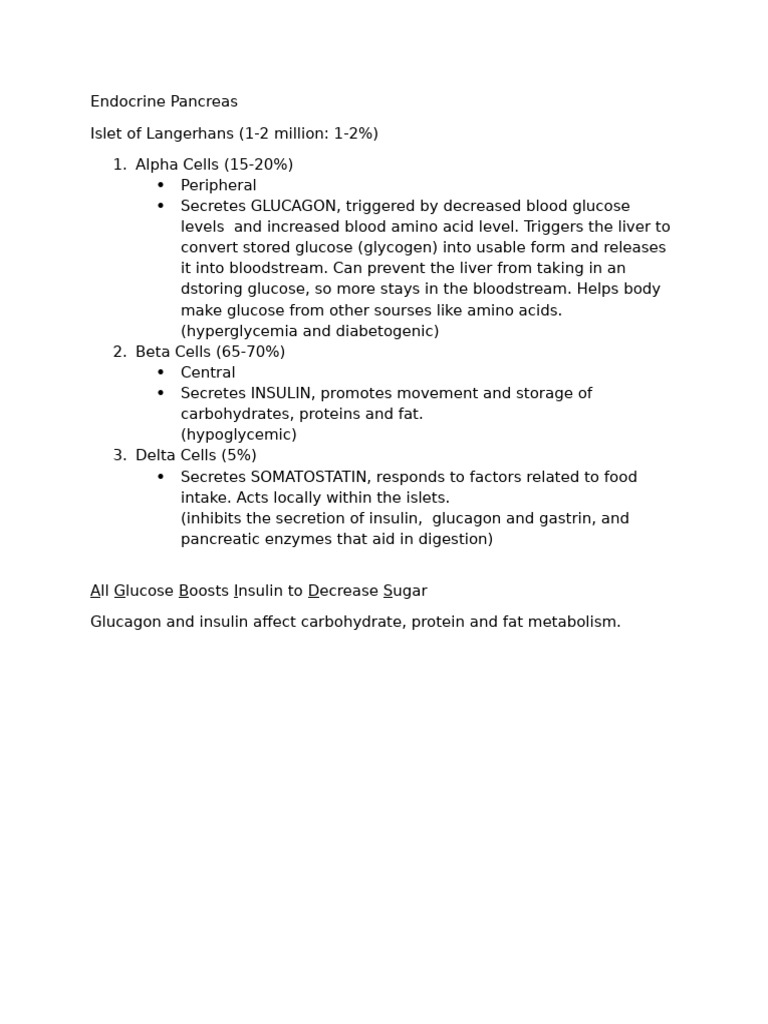 Endocrine Pancreas Functions Explained | PDF