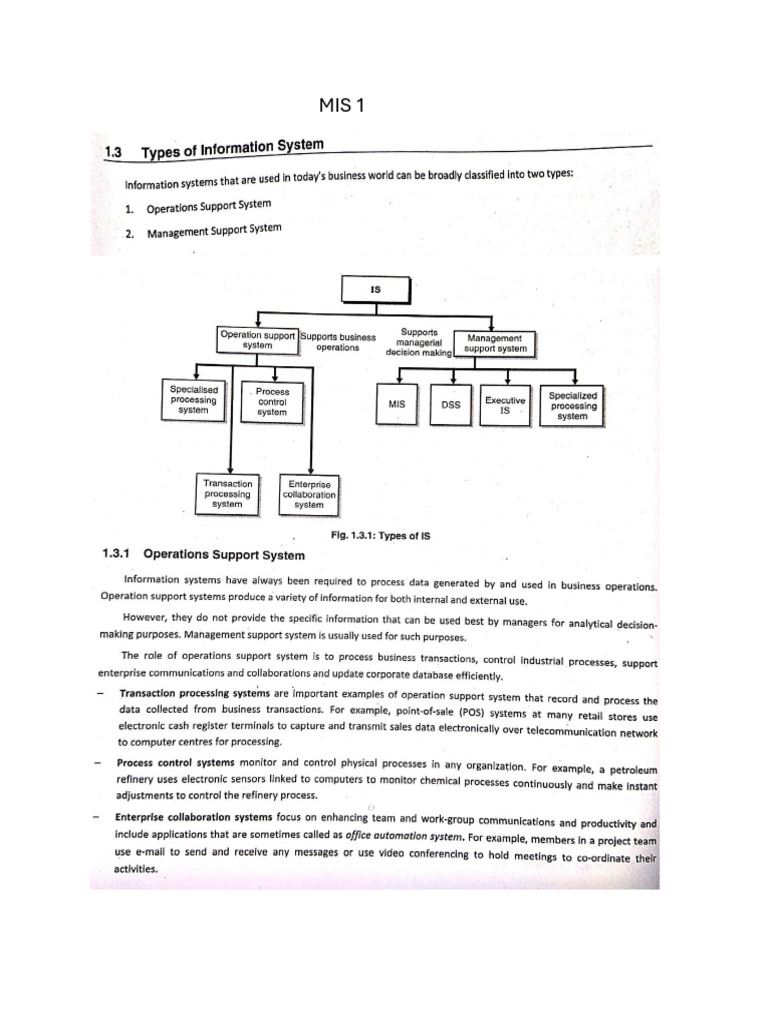 Mis 1 | PDF