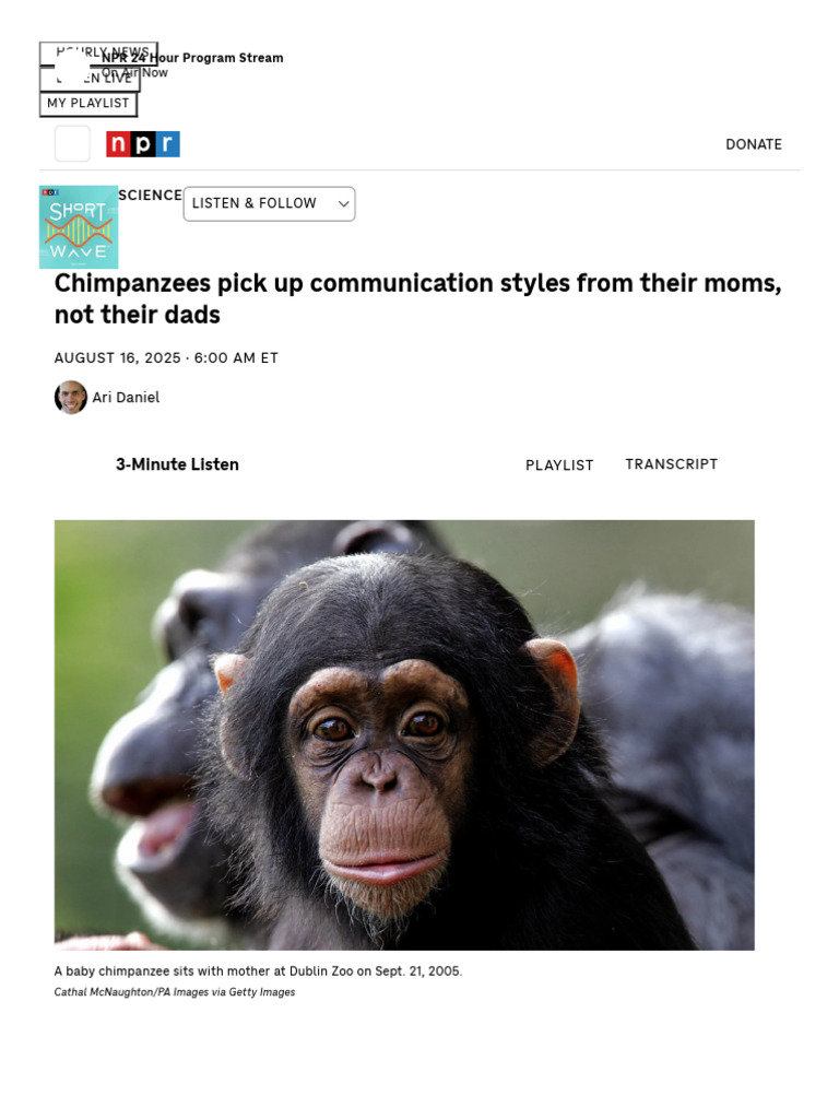 Chimps Learn Vocal, Visual Communication Patterns From Mom, Not Dad ...