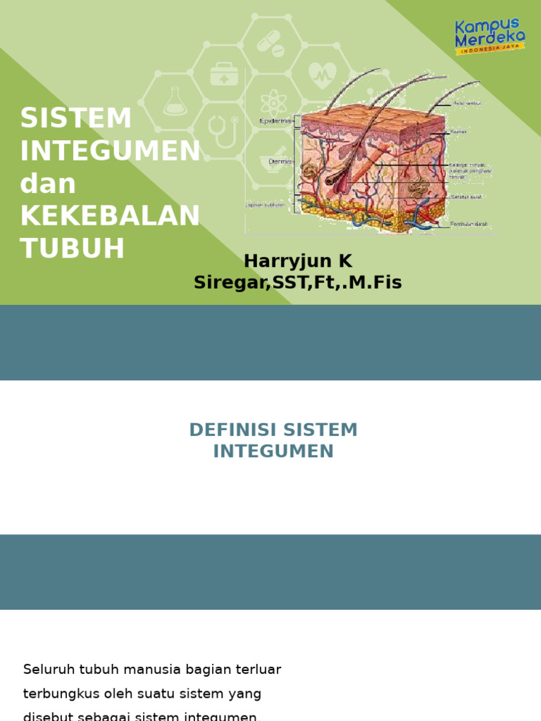 Sistem Integumen 25 | PDF